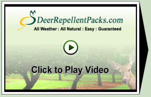 Learn About Deer Repellent Packs via Videos