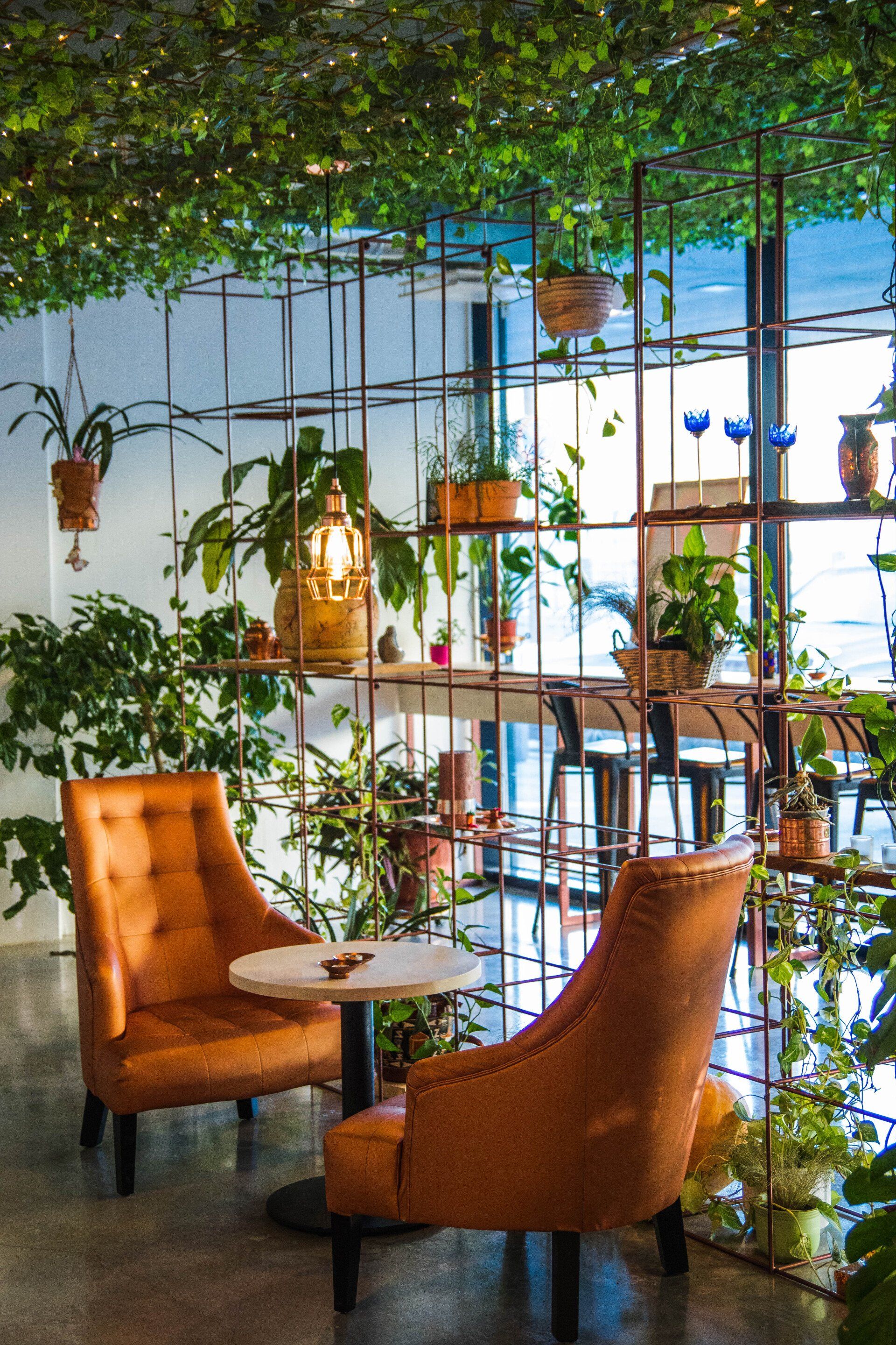 Everything You Need for a Successful Indoor Garden