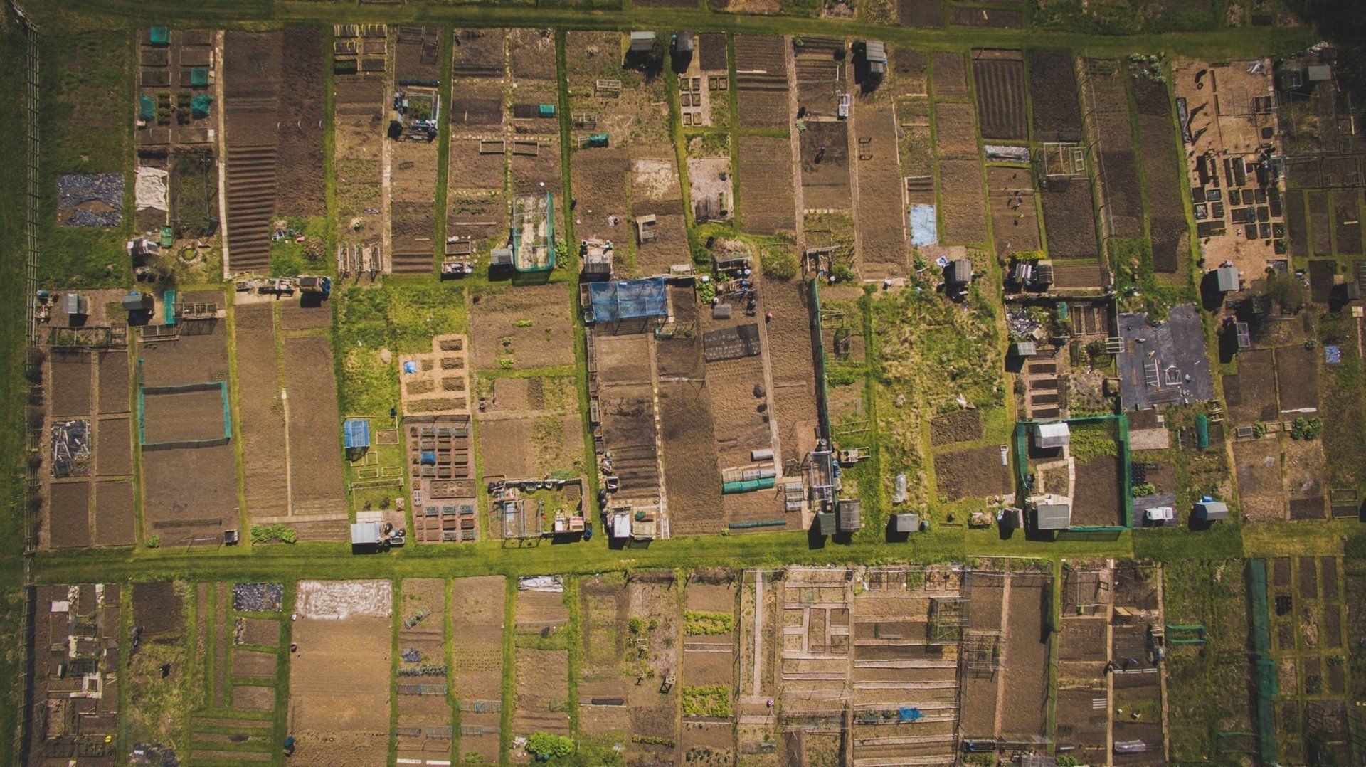 Aerial view of farmland