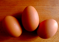 Eggs for Homemade Deer Repellent